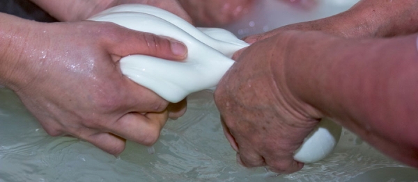 A tavola con la mozzarella di Bufala di Amaseno