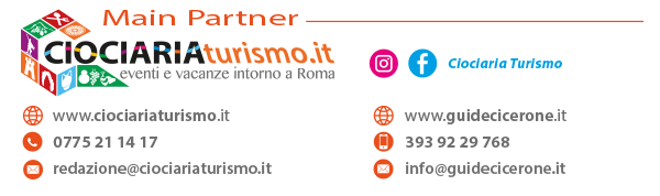 Media Partner