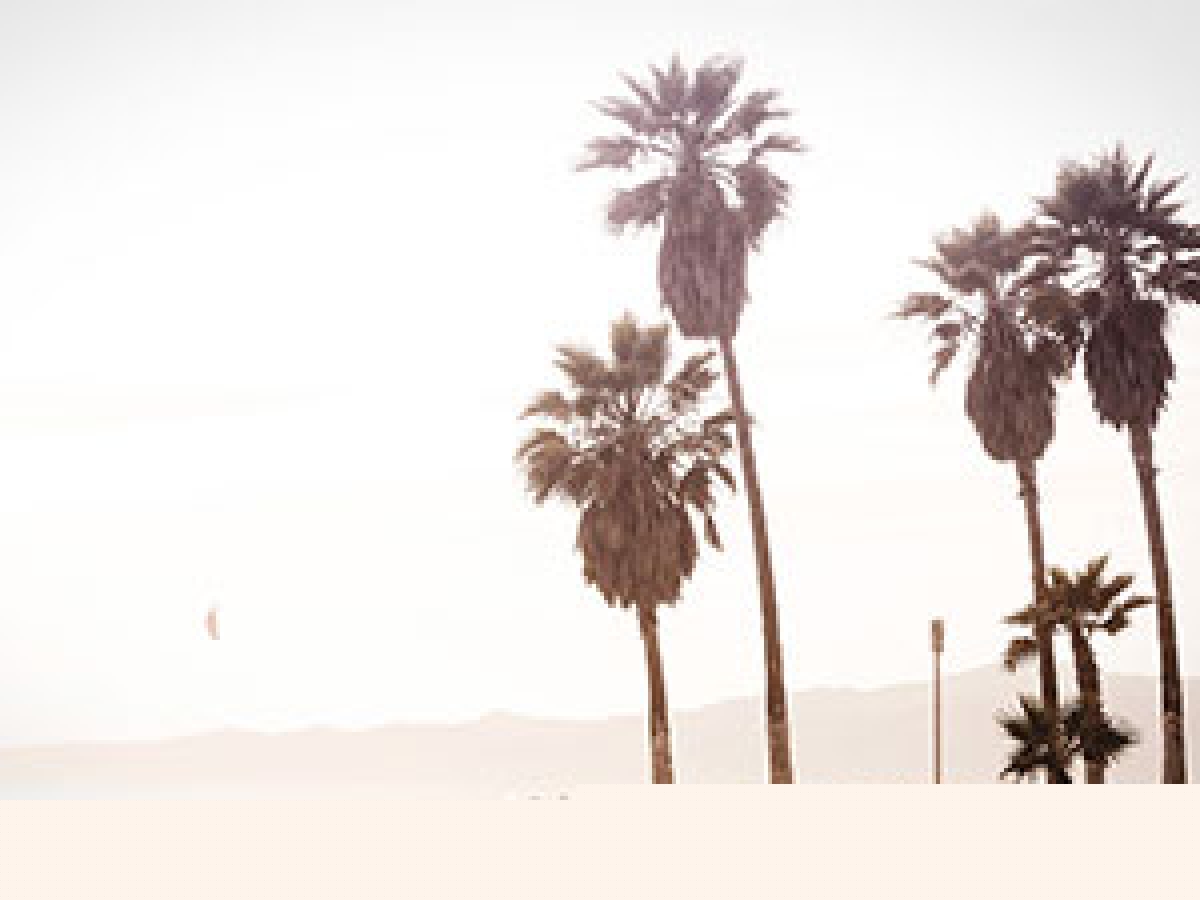 Summer vacations on the island will be great