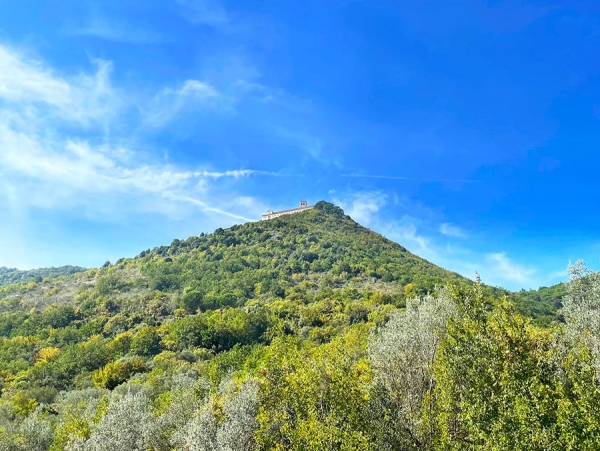 80° Battaglia di Cassino 1944-2024